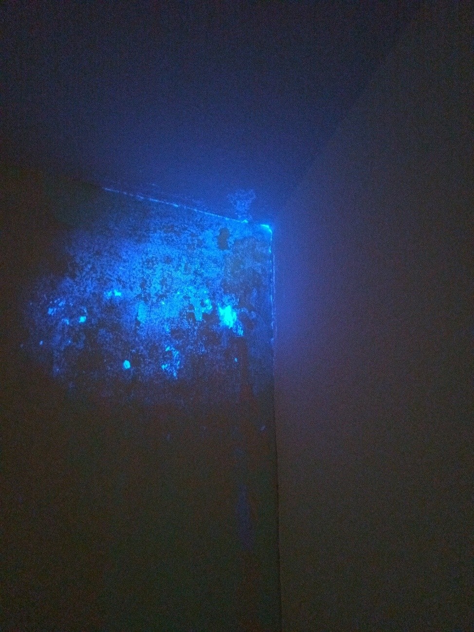 Mit Tatortlampe auf Spurensuche